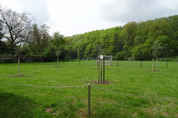 Bolzplatz Pflanzaktion