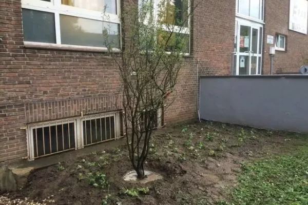 Pflanzaktion Pflanzaktion FASA